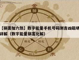 祸害加六煞|数字能量学六煞加祸害组合能量分析